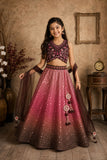 Pink and Brown Ombre Sequin Lehenga Choli Set with Dupatta