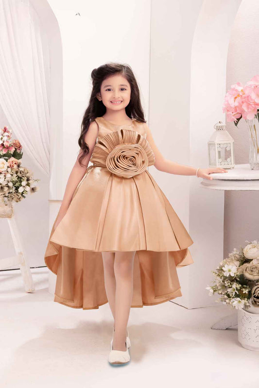 Gold Embellished With Floral Tail Back Frock For Girls