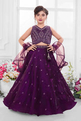 Deep Purple Embroidered Lehenga Choli Set for Girls
