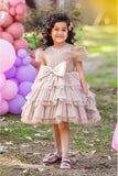 Fawn Bow Embellished Party Wear Frock For Girls