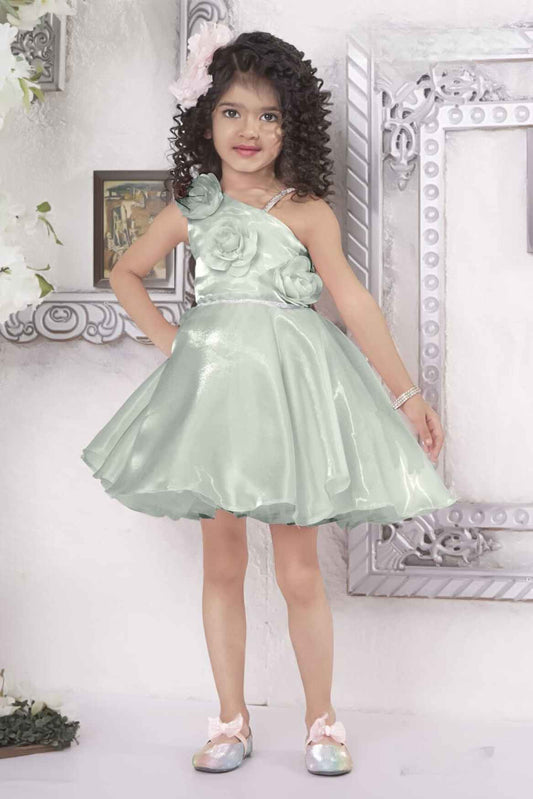Green Organza Frock With Floral Embellished For Girls