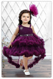 Wine Net Tailback Enhanced With Zardozi Waistband For Girls