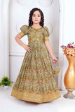 Multicolor Mirror Work And Floral Printed Ethnic Gown For Girls
