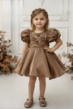 Brown Embroidered Puff Sleeve Party Frock For Girls