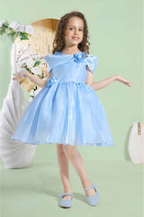 Blue Sleeveless Sequins Work And Floral Embellished Frock For Girls