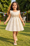 Girls Ivory Self-Embroidered Sequin Floral Yoke Frock