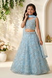 Sky Blue Sequin Embroidered Lehenga Choli with Dupatta