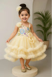 Yellow Embroidered Ruffle Party Frock with Floral Accents For Girls