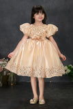 Golden Sequin Party Wear Frock with Puffy Sleeves and Floral Waist Detail For Girls