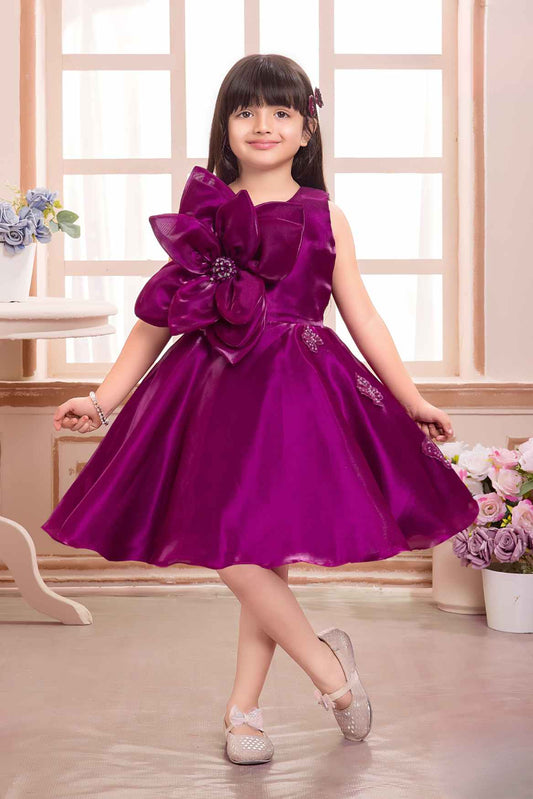 Elegant Wine Floral And Butterfly Embellished Frock For Girls