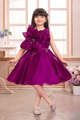 Elegant Wine Floral And Butterfly Embellished Frock For Girls