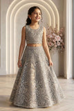 Elegant Grey Embellished Lehenga Choli Set for Girls