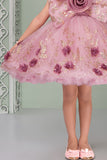 Blush Pink Glitter Party Frock with 3D Floral Bow For Girls