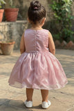 Baby Pink Butterfly Appliqué Party Wear Frock For Girls