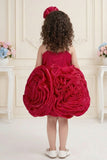 Rani Pink 3D Rosette Appliqué Party Wear  Frock For Girls