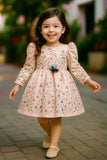 Blush Pink Floral Embroidered Frock with Long Sleeves For Girls