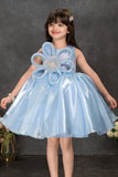 Sky Blue Floral Embellished Party Frock For Girls