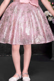 Dusty Pink Sequin Party Wear Frock with Statement Floral Detail For Girls