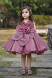 Girls Mauve Pink 3D Floral Party Dress