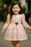 Blush Pink Floral Embroidered Frock with Long Sleeves For Girls