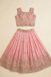 Girls Peach Embroidered Lehenga Choli Set with Dupatta