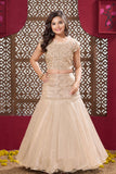 Fawn Embellished Mermaid-Style Lehenga Choli For Girls