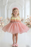 Peach And Yellow Layered Party Frock With Tailback For Girls