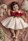 Girls Fawn 3D Floral Applique Party Wear Frock