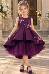 Girls Wine Butterfly Embellished High-Low Tail Back  Party Wear Frock