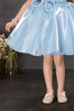Sky Blue Floral Embellished Party Frock For Girls
