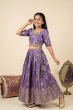 Royal Purple Zari Woven Lehenga Choli Set For Girls