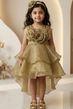 Gold High Low Party Frock with 3D Floral Applique and Layered