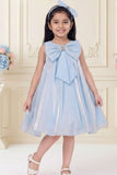 Blue 3D Bow Embellished Party Wear Frock For Girls
