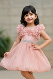 Peach Embellished Party Wear Frock with Ruffled Sleeves For Girls