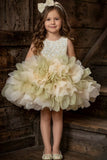 Girls Light Olive Green Party Wear Frock With Sequin Bodice And 3D Organza Petal Detailing