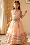 Peach Embellished Lehenga Choli for Girls