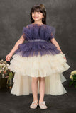 Navy Blue and Ivory Layered Tailback Party Dress For Girls