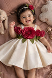 Girls Fawn 3D Floral Applique Party Wear Frock
