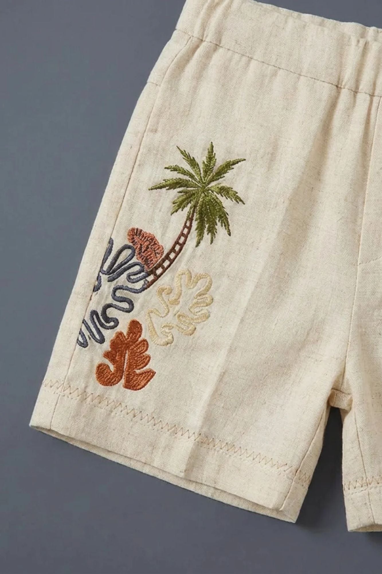 Boys Beige Shorts Set with Tropical Embroidered Shirt And Printed Tee