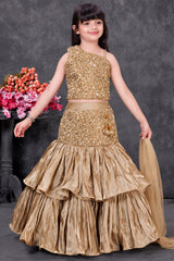 Gold Sequin Embroidered Mermaid Style Lehenga Choli Set