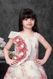 Blush Pink And Ivory Floral Appliqué Party Wear Gown For Girls