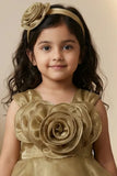 Gold High Low Party Frock with 3D Floral Applique and Layered