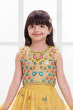 Mustard Lehenga Choli With Multicolor Embroidered for Girls