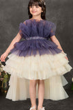 Navy Blue and Ivory Layered Tailback Party Dress For Girls
