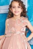 Brown Frock With Stone Work And Floral Embellished For Girls