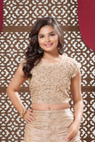 Fawn Embellished Mermaid-Style Lehenga Choli For Girls