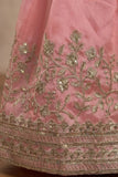 Girls Peach Embroidered Lehenga Choli Set with Dupatta