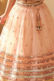 Peach Embellished Lehenga Choli for Girls