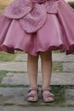 Girls Mauve Pink 3D Floral Party Dress
