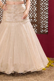 Fawn Embellished Mermaid-Style Lehenga Choli For Girls